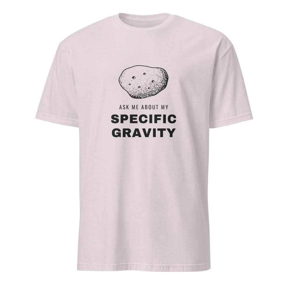 Ice Grey shirt