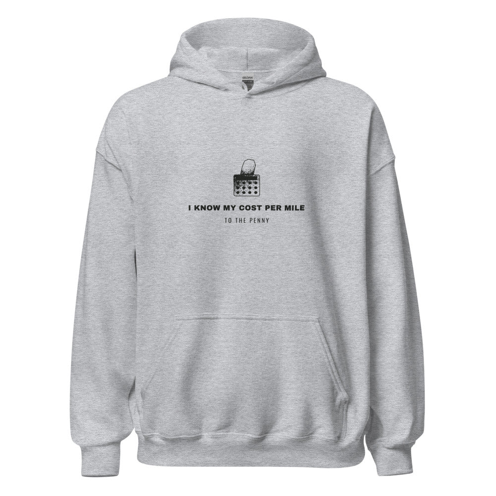 Sport Grey hoodie