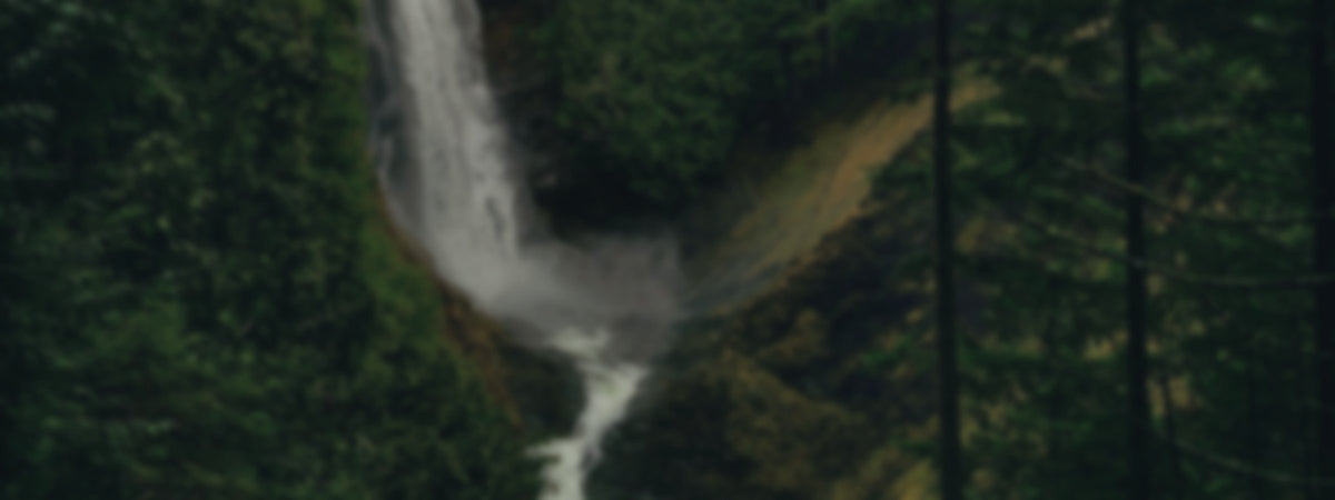 Mist at the foot of Wallace Falls, blurred, behind the two shirts band