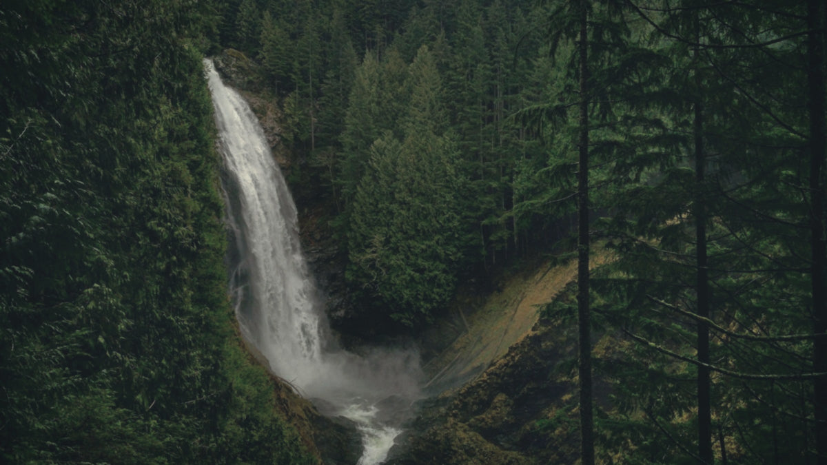 Wallace Falls dropping into a Douglas fir valley in Washington, softened to read as a painting